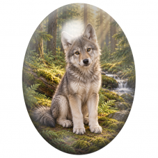 Cabochon en Verre Illustré Jeune Loup Gris près du Ruisseau 13x18, 18x25 ou 30x40mm pour la Création de Bijoux Fantaisie - DIY
