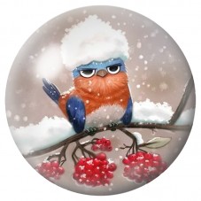 Cabochon en Verre Illustré Oiseau aux Baies Enneigées 12 à 25mm pour la Création de Bijoux Fantaisie - DIY