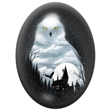 Cabochon en Verre Illustré Harfang des Neiges au Château Sombre 13x18, 18x25 ou 30x40mm pour la Création de Bijoux Fantaisie - D