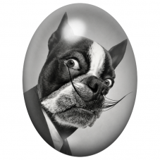 Cabochon en Verre Illustré Boston Terrier Gentleman à la Moustache 13x18, 18x25 ou 30x40mm pour la Création de Bijoux Fantaisie 
