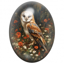 Cabochon en Verre Illustré Chouette Effraie dans un Champ de Coquelicots 13x18, 18x25 ou 30x40mm pour la Création de Bijoux Fant
