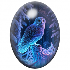 Cabochon en Verre Illustré Chouette Bleue dans une Forêt Enchantée 13x18, 18x25 ou 30x40mm pour la Création de Bijoux Fantaisie 