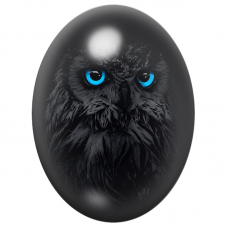Cabochon en Verre Illustré Hibou Noir aux Yeux Bleu Électrique 13x18, 18x25 ou 30x40mm pour la Création de Bijoux Fantaisie - DI