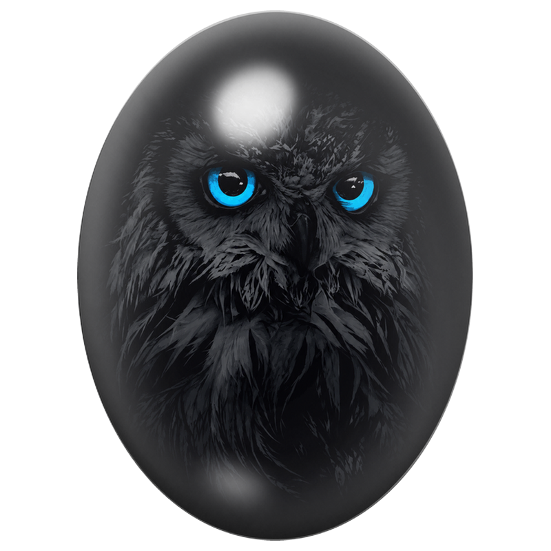 Cabochon en Verre Illustré Hibou Noir aux Yeux Bleu Électrique 13x18, 18x25 ou 30x40mm