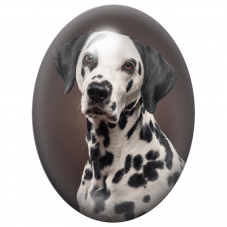 Cabochon en Verre Illustré Dalmatien en Portrait Noir et Blanc 13x18, 18x25 ou 30x40mm pour la Création de Bijoux Fantaisie - DI