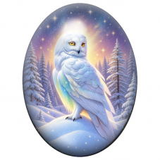 Cabochon en Verre Illustré Harfang des Neiges sous l’Aurore Boréale 13x18, 18x25 ou 30x40mm pour la Création de Bijoux Fantaisie