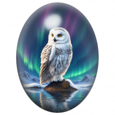 Cabochon en Verre Illustré Harfang des Neiges sous l’Aurore Polaire 13x18, 18x25 ou 30x40mm pour la Création de Bijoux Fantaisie