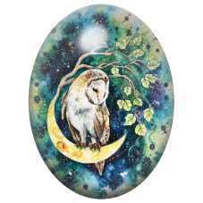 Cabochon en Verre Illustré Chouette Effraie sur un Croissant de Lune 13x18, 18x25 ou 30x40mm pour la Création de Bijoux Fantaisi