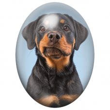 Cabochon en Verre Illustré Chiot Rottweiler sur Fond Bleu 13x18, 18x25 ou 30x40mm pour la Création de Bijoux Fantaisie - DIY