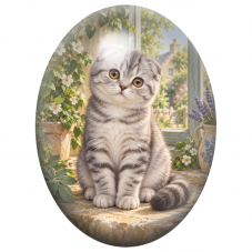 Cabochon en Verre Illustré Chaton Scottish Fold Tigré au Soleil 13x18, 18x25 ou 30x40mm pour la Création de Bijoux Fantaisie - D