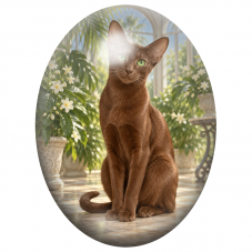 Cabochon en Verre Illustré Chat Oriental Chocolat dans une Véranda Fleurie 13x18, 18x25 ou 30x40mm pour la Création de Bijoux Fa