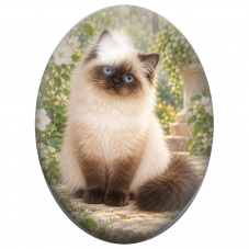 Cabochon en Verre Illustré Chat Sacré de Birmanie aux Yeux Bleus 13x18, 18x25 ou 30x40mm pour la Création de Bijoux Fantaisie - 