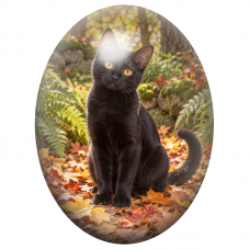 Cabochon en Verre Illustré Chat Noir aux Yeux Dorés en Automne 13x18, 18x25 ou 30x40mm pour la Création de Bijoux Fantaisie - DI