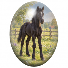 Cabochon en Verre Illustré Poulain Noir dans une Prairie de Campagne 13x18, 18x25 ou 30x40mm pour la Création de Bijoux Fantaisi