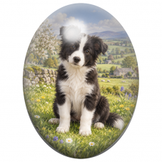 Cabochon en Verre Illustré Chiot Border Collie dans la Campagne 13x18, 18x25 ou 30x40mm pour la Création de Bijoux Fantaisie - D