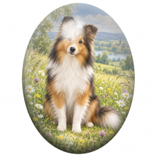 Cabochon en Verre Illustré Berger des Shetland dans une Prairie 13x18, 18x25 ou 30x40mm pour la Création de Bijoux Fantaisie - D