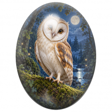 Cabochon en Verre Illustré Effraie des Clochers au Clair de Lune 13x18, 18x25 ou 30x40mm pour la Création de Bijoux Fantaisie - 