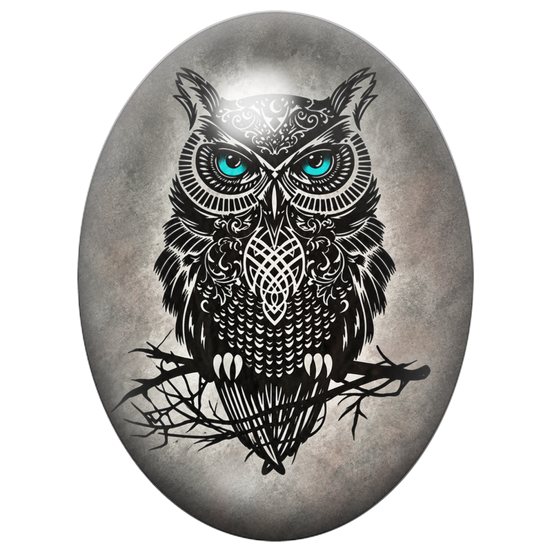 Cabochon en Verre Illustré Hibou Noir Ornemental aux Yeux Turquoise 13x18, 18x25 ou 30x40mm