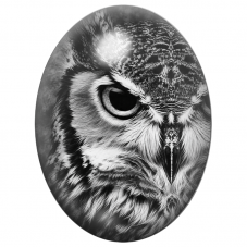Cabochon en Verre Illustré Portrait de Hibou en Noir et Blanc 13x18, 18x25 ou 30x40mm pour la Création de Bijoux Fantaisie - DIY