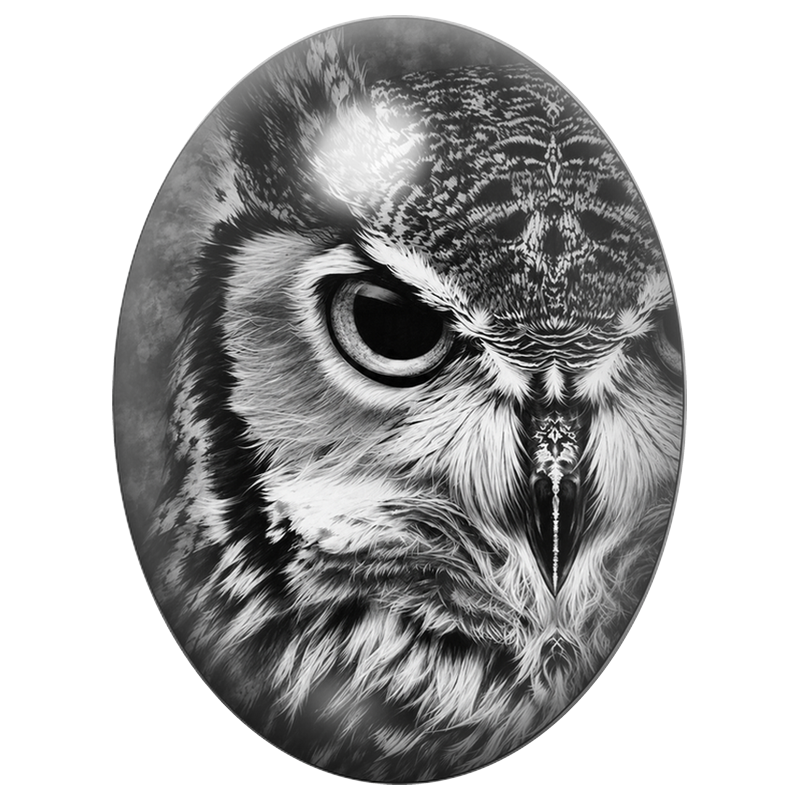 Cabochon en Verre Illustré Portrait de Hibou en Noir et Blanc 13x18, 18x25 ou 30x40mm