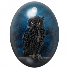 Cabochon en Verre Illustré Hibou Noir aux Yeux de Feu sous la Lune 13x18, 18x25 ou 30x40mm pour la Création de Bijoux Fantaisie 