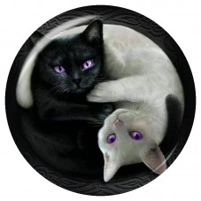 Cabochon en Verre Illustré Chats Yin et Yang 12 à 25mm pour la Création de Bijoux Fantaisie - DIY