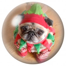 Cabochon en Verre Illustré Carlin en Lutin de Noël 12 à 25mm pour la Création de Bijoux Fantaisie - DIY