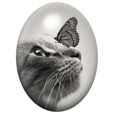 Cabochon en Verre Illustré Chat Gris et Papillon 13x18, 18x25 ou 30x40mm pour la Création de Bijoux Fantaisie - DIY