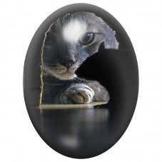 Cabochon en Verre Illustré Chat Noir au Trou de Souris 13x18, 18x25 ou 30x40mm pour la Création de Bijoux Fantaisie - DIY