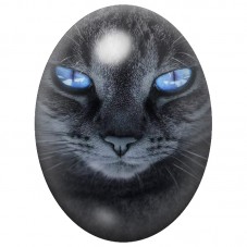 Cabochon en Verre Illustré Chat Noir aux Yeux Bleus 13x18, 18x25 ou 30x40mm pour la Création de Bijoux Fantaisie - DIY