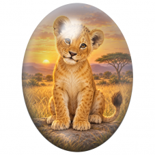 Cabochon en Verre Illustré Lionceau dans la Savane au Soleil Couchant 13x18, 18x25 ou 30x40mm pour la Création de Bijoux Fantais