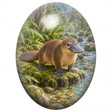 Cabochon en Verre Illustré Ornithorynque au Bord d’un Ruisseau 13x18, 18x25 ou 30x40mm pour la Création de Bijoux Fantaisie - DI