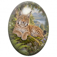 Cabochon en Verre Illustré Lynx Couché face au Lac de Montagne 13x18, 18x25 ou 30x40mm pour la Création de Bijoux Fantaisie - DI