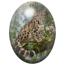 Cabochon en Verre Illustré Panthère Nébuleuse dans la Jungle 13x18, 18x25 ou 30x40mm pour la Création de Bijoux Fantaisie - DIY