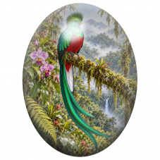 Cabochon en Verre Illustré Quetzal Resplendissant parmi les Orchidées 13x18, 18x25 ou 30x40mm pour la Création de Bijoux Fantais