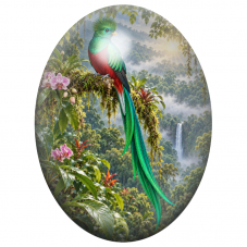 Cabochon en Verre Illustré Quetzal Resplendissant au-dessus de la Vallée 13x18, 18x25 ou 30x40mm pour la Création de Bijoux Fant