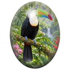Cabochon en Verre Illustré Toucan au Bec Arc-en-Ciel dans la Jungle 13x18, 18x25 ou 30x40mm pour la Création de Bijoux Fantaisie