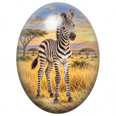 Cabochon en Verre Illustré Zébreau dans la Savane au Soleil Couchant 13x18, 18x25 ou 30x40mm pour la Création de Bijoux Fantaisi