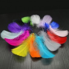 10 Plumes Multicolores 4-6cm Déco 