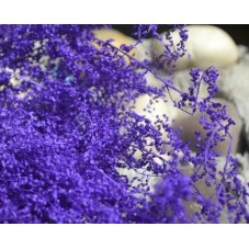 1 Sachet de Fleurs Séchées Violettes pour Globe Fiole pour la Création de Bijoux Fantaisie - DIY