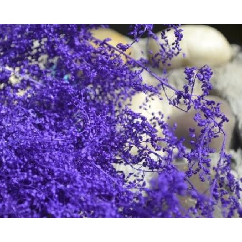 Sachet de Fleurs Séchées Violettes pour Globe ou Fiole
