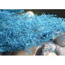 1 Sachet de Fleurs Séchées Bleu pour Globe Fiole 
