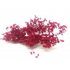 1 Sachet de Fleurs Séchées Rose Foncé pour Globe et Fiole pour la Création de Bijoux Fantaisie - DIY