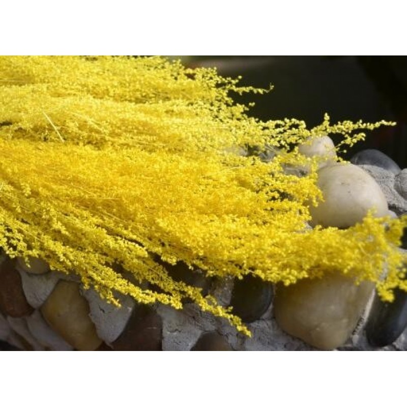 Sachet de Fleurs Séchées Jaunes pour Globe ou Fiole