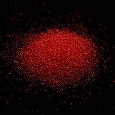 1 Sachet de 10g de Microbilles en Verre Rouge 1.0-1.5mm  pour la Création de Bijoux Fantaisie - DIY