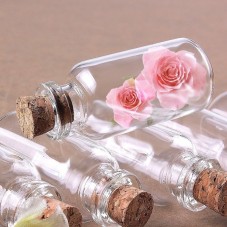 5 Fioles Élancées en Verre avec Bouchon en Liège 22x40mm