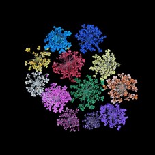 Boite de Véritables Fleurs Séchées pour Fioles ou Globe